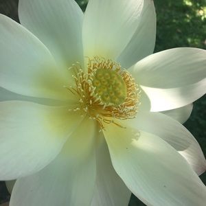 Meet your Posher, Aubrey